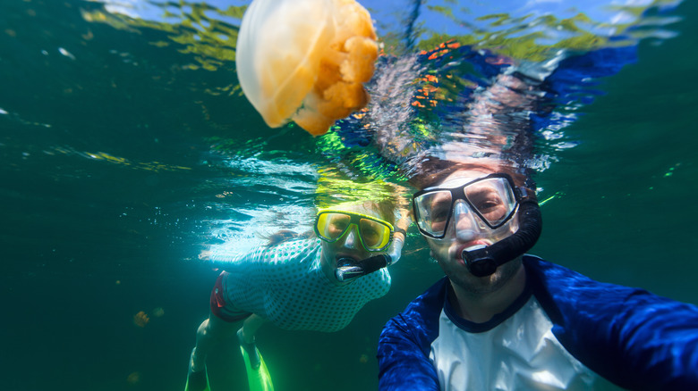 couple snorkeling in Jellyfish Lake