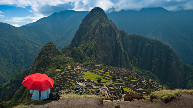 Machu Picchu