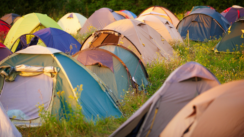 tents in field 