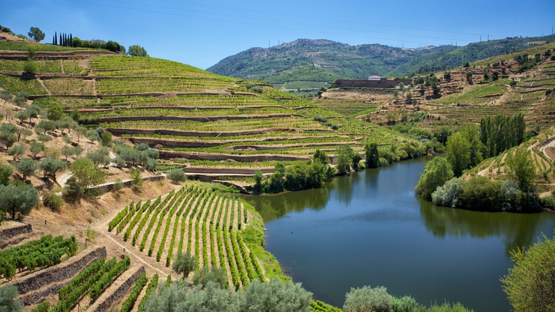 Duoro Valley, Portugal