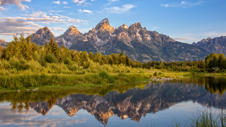 Jackson Hole landscape