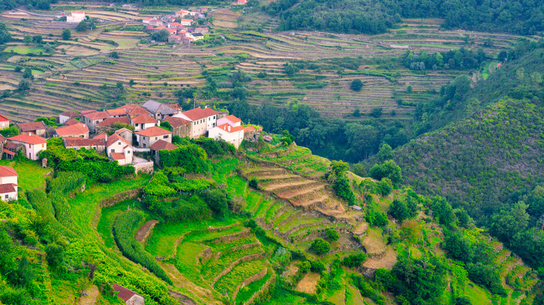 Portuguese village on terraced hill