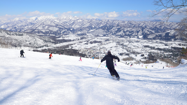 Nagano Hakuba Skiers Riding Downhill