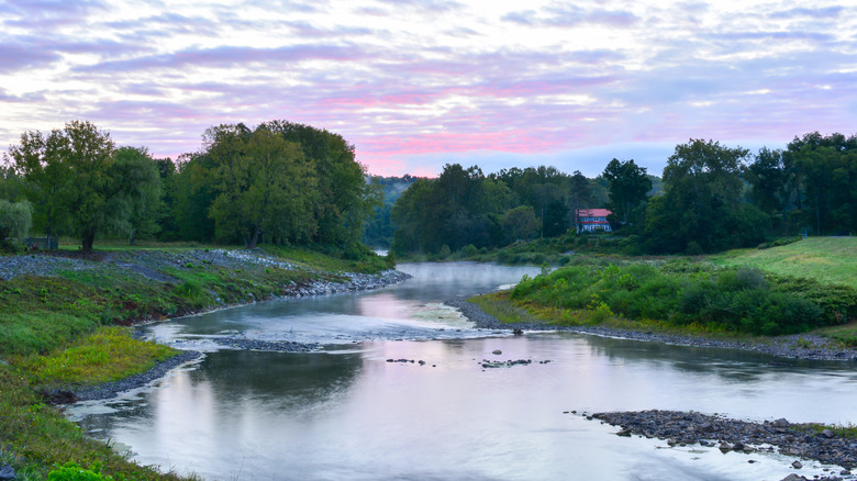 Rosendale with nature